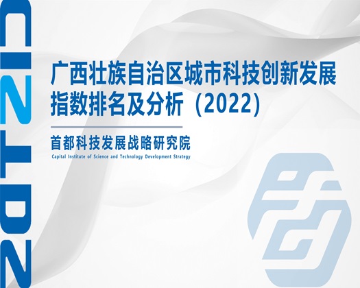 学姐被艹满白浆【成果发布】广西壮族自治区城市科技创新发展指数排名及分析（2022）